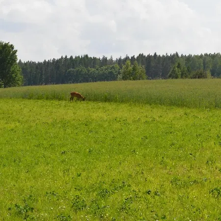 Ranczo W Naguszewie- Domek Letniskowy Casa vacanze